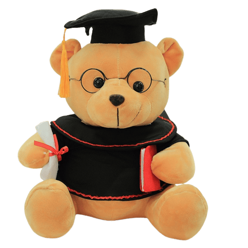 Harvard Teddybjörn