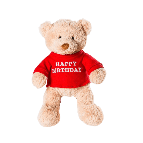Teddy Björn Grattis På Födelsedagen